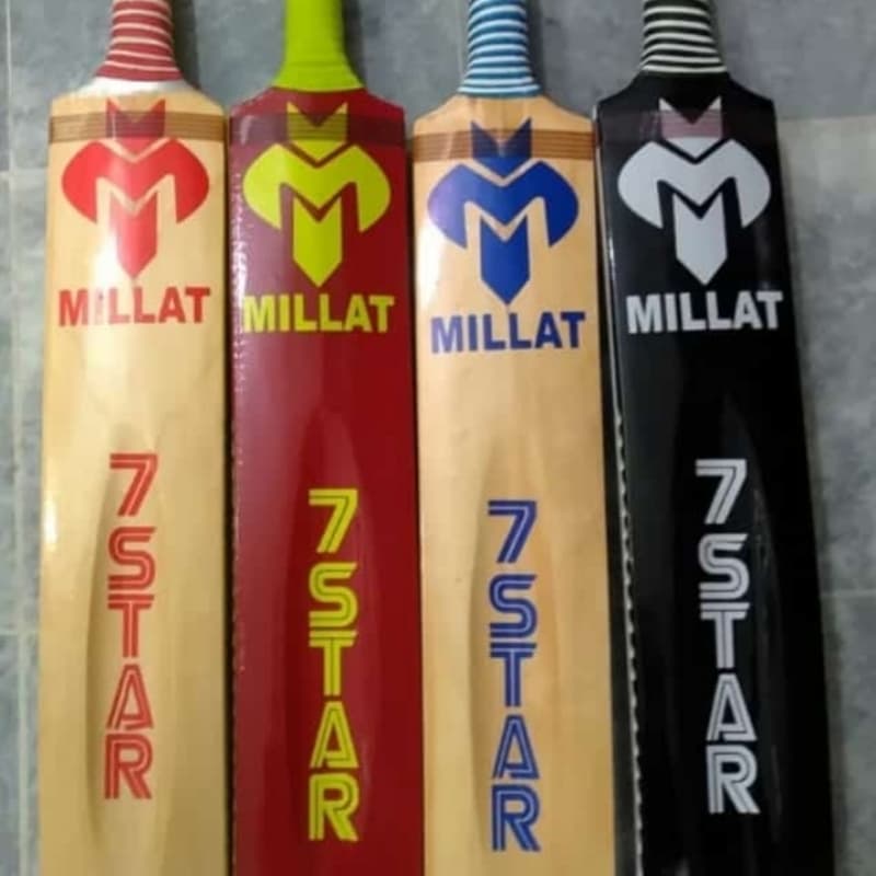 Bat