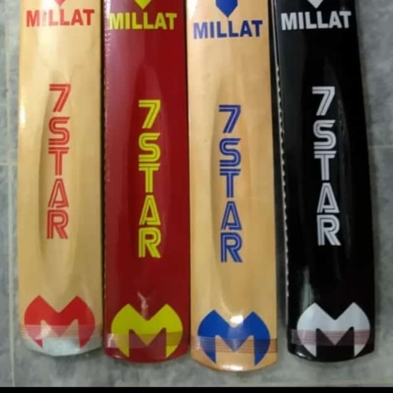 Bat